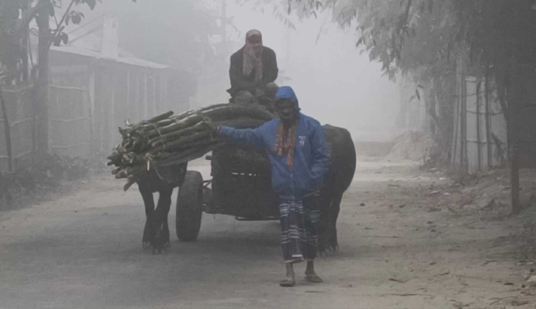 পঞ্চগড়ে শীতের তীব্রতা বাড়ছে, তাপমাত্রা ৯ ডিগ্রি
