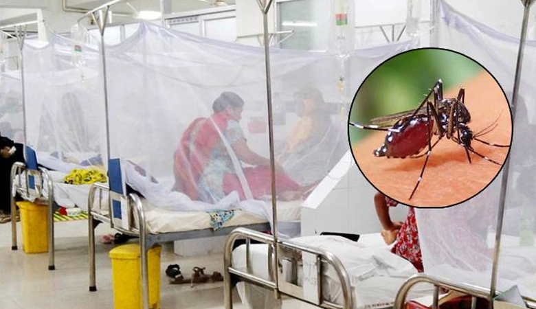 ডেঙ্গুতে আরো ৫ জনের মৃত্যু, হাসপাতালে ভর্তি ৩৮৭ জন