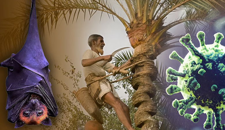 ৩৫ জেলায় ছড়িয়েছে নিপাহ ভাইরাস, হাসপাতালকে প্রস্তুত থাকার নির্দেশ