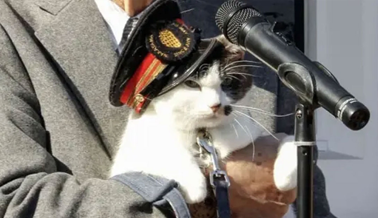 জাপানের রেলওয়েতে স্টেশনমাস্টারের দায়িত্বে বিড়াল