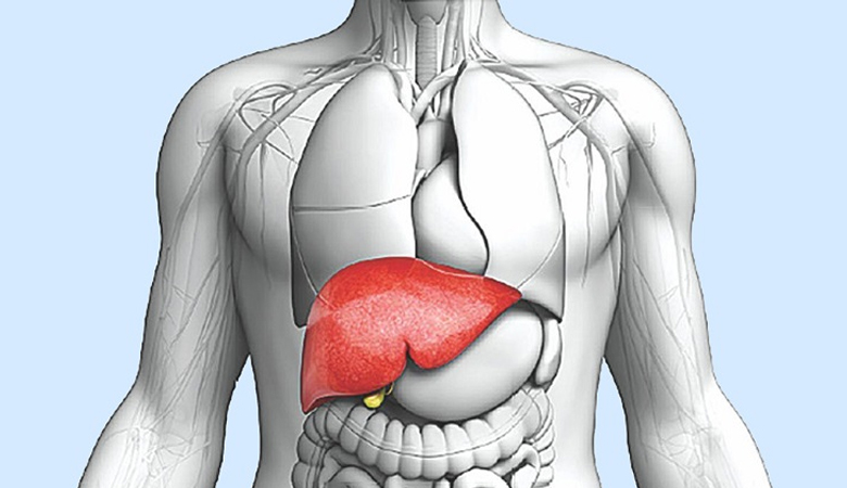 সুস্থ লিভার পেতে যে ৩টি খাবার এড়িয়ে চলবেন