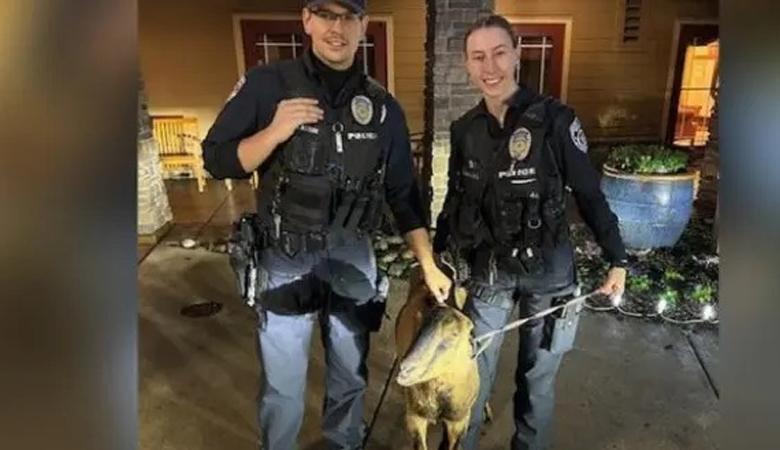 যুক্তরাষ্ট্রে পুলিশের হাতে আটক ‘সন্দেহভাজন’ ছাগল