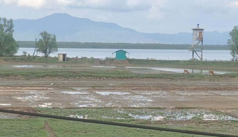 মিয়ানমার থেকে ছোড়া গুলিতে দুই বাংলাদেশি কিশোর আহত