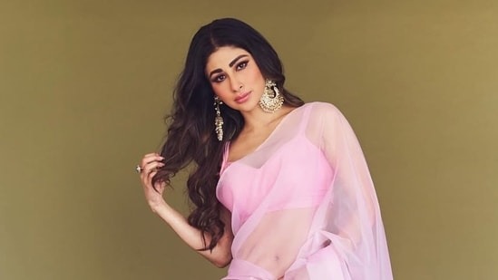 বড়পর্দায় আসছে ‘নাগিন’