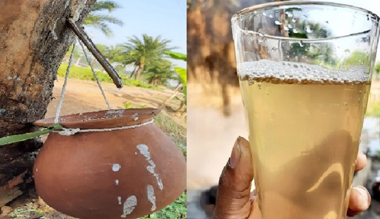 দেশে নিপাহ ভাইরাসে আক্রান্ত হয়ে একজনের মৃত্যু