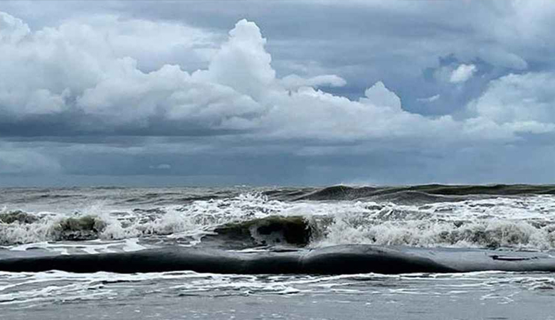 বঙ্গোপসাগরে লঘুচাপ সৃষ্টি, যে বার্তা দিল আবহাওয়া অফিস