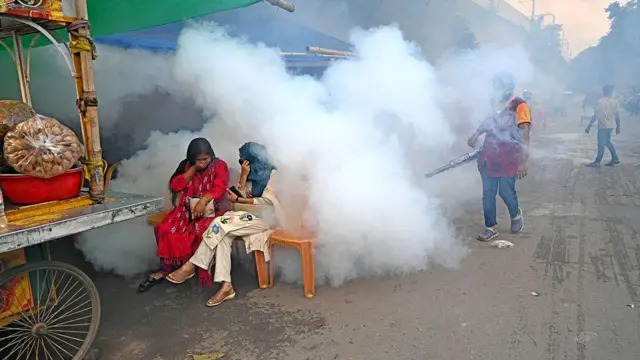 ঢাকায় মশার বিপৎসংকেত