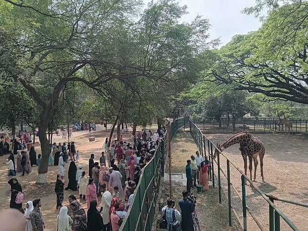 ঈদের চতুর্থ দিনেও চিড়িয়াখানায় জনস্রোত, অফিস খুললেও ম্লান হয়নি উৎসবের আমেজ