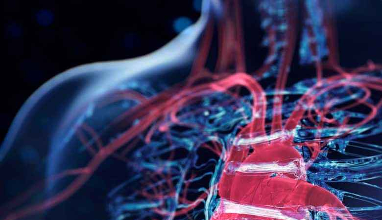 হৃদরোগের ঝুঁকি ৫ বছর আগেই শনাক্ত করবে এআই