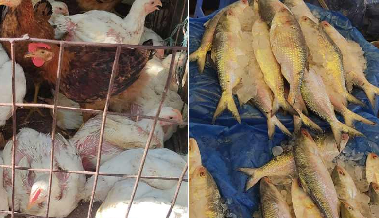কমেছে ব্রয়লার মুরগির দাম, ইলিশের বাজার চড়া