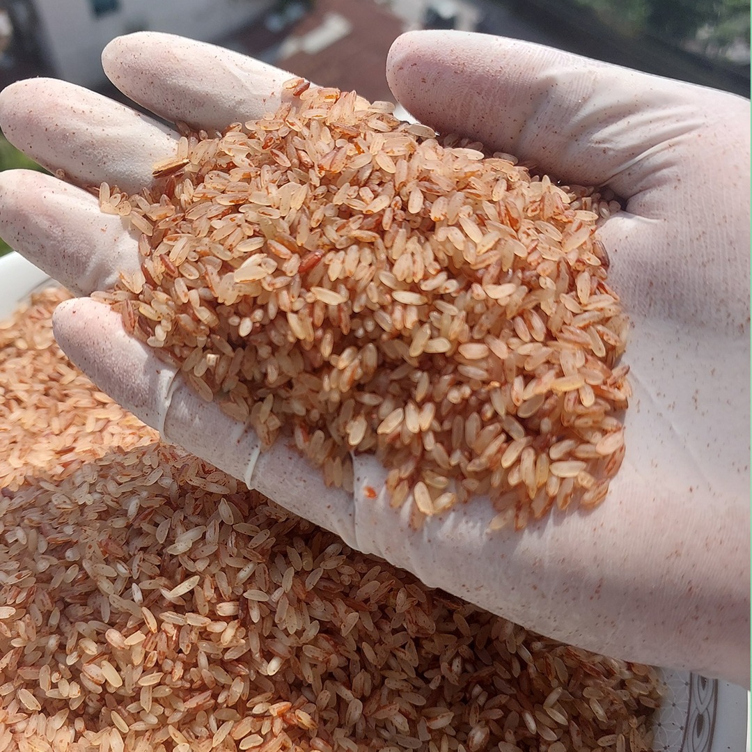 নিয়মিত বাদামি চাল খেলে যেসব উপকার মেলে