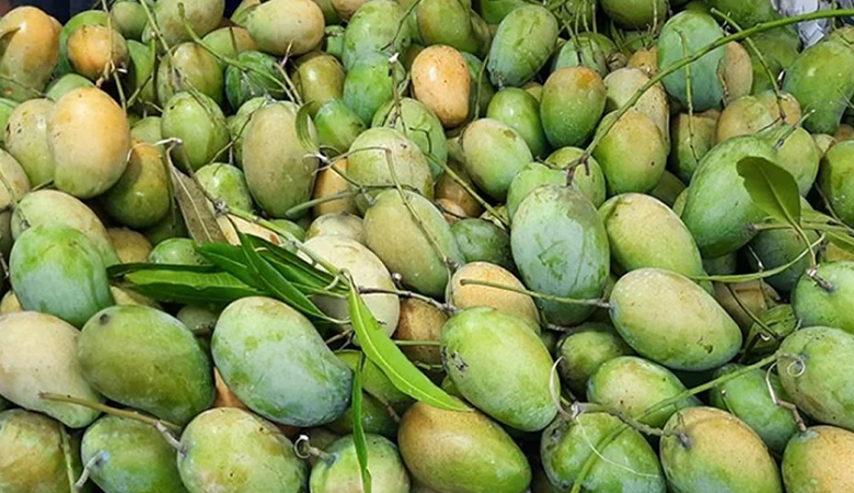 বাম্পার ফলনে আম উৎপাদন ছাড়াতে পারে ২৭ লাখ টন
