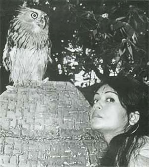 স্মরণ: নভেরার কীটপতঙ্গের মায়াবী জগৎ