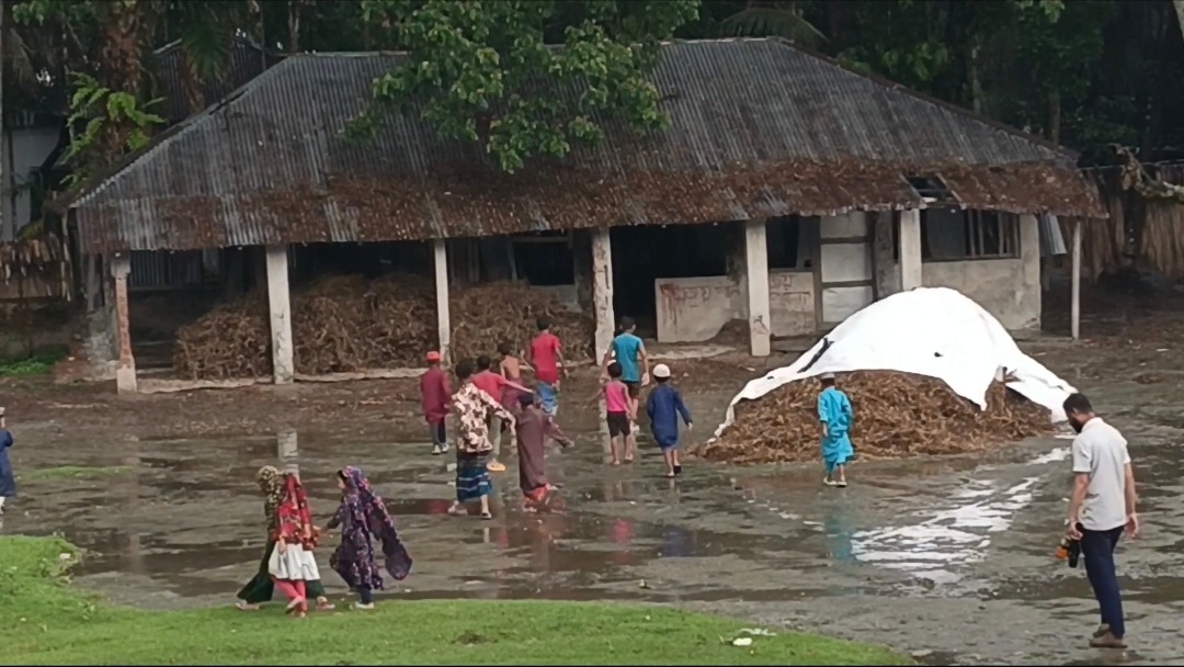 কয়েক কিলোমিটারে নেই বিদ্যালয়, শিক্ষাবঞ্চিত চরাঞ্চলের শিশুরা