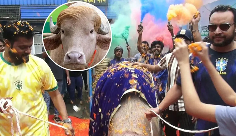 বিশ্বজুড়ে ভাইরাল ‘ডোনাল্ড ট্রাম্প’-কে লাল গালিচায় বিদায়