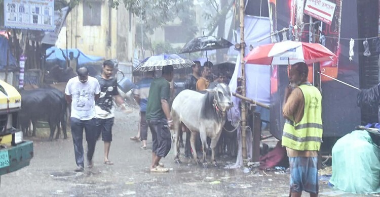 বৃষ্টি-জলাবদ্ধতায় ঈদযাত্রা ও পশুর হাটে দুর্ভোগ