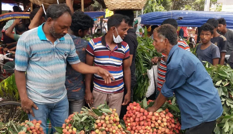 দিনাজপুরে জমে উঠছে লিচুর বাজার