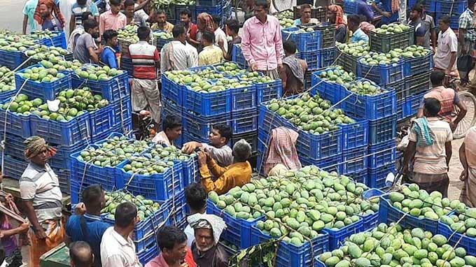 আমের বাজারে দরপতন