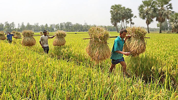 কৃষি-গ্রামীণ অর্থনীতিতে ১০ হাজার কোটি তহবিলের উদ্যোগ