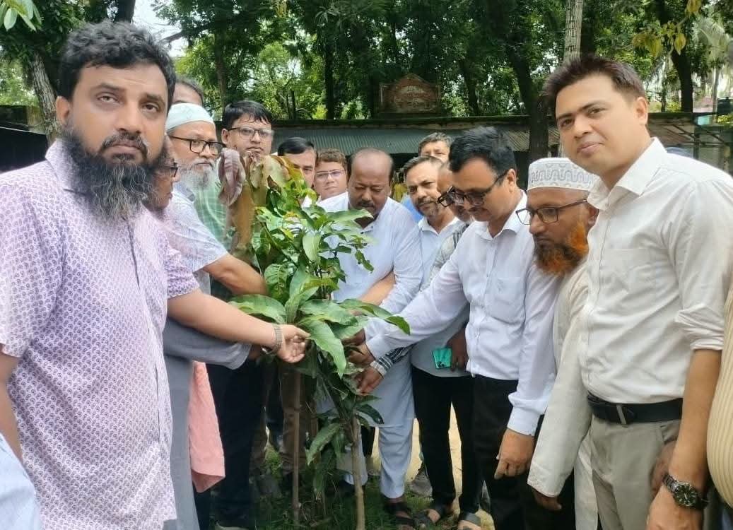 দিনাজপুরে জিয়াউর রহমান ফাউন্ডেশনের বৃক্ষরোপণ ও চারা বিতরণ