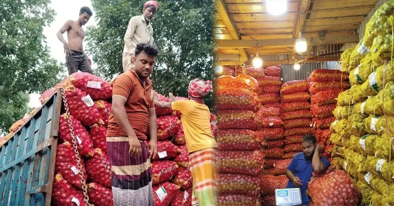 ফরিদপুরে পেঁয়াজের দামে ধস, কৃষকরা বিপাকে