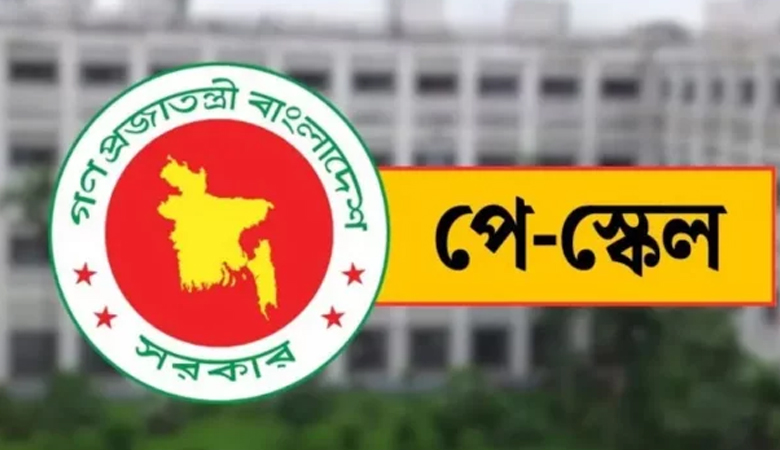 নবম পে স্কেলে ইনক্রিমেন্টে চার স্তর, নিম্ন গ্রেডে বেশি সুবিধা