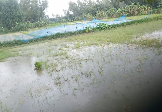 বিচারাধীন জমি দখলচেষ্টার অভিযোগে আদালতে মামলা