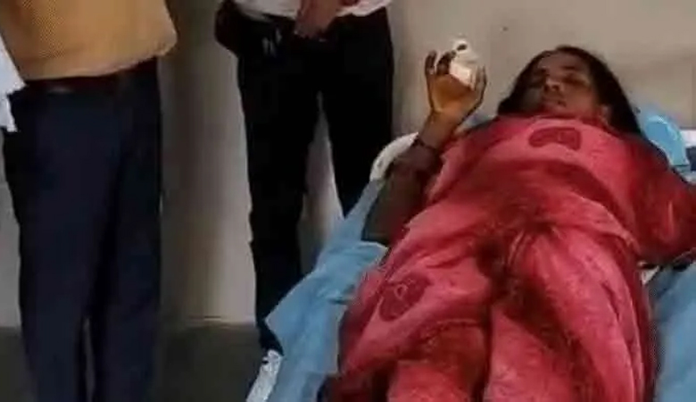 দুই মিনিটে ৫ বার সাপের ছোবল, প্রাণে বাঁচলেন নারী