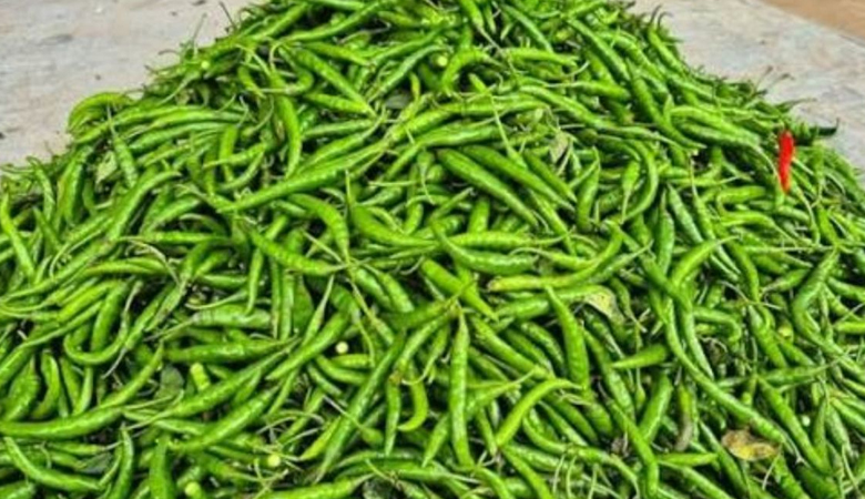 ভারত থেকে আসছে কাঁচামরিচ, কমতে পারে বাজারদর
