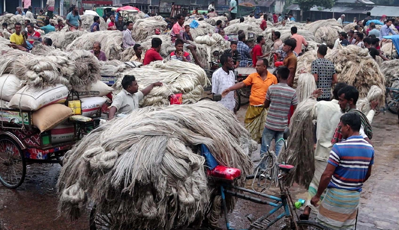 এক যুগ পর পাটের ভালো দাম, খুশি নওগাঁর চাষিরা