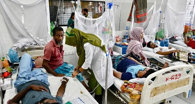 ডেঙ্গুতে এক দিনে ৬ মৃত্যু, হাসপাতালে ভর্তি ১,৯৪২