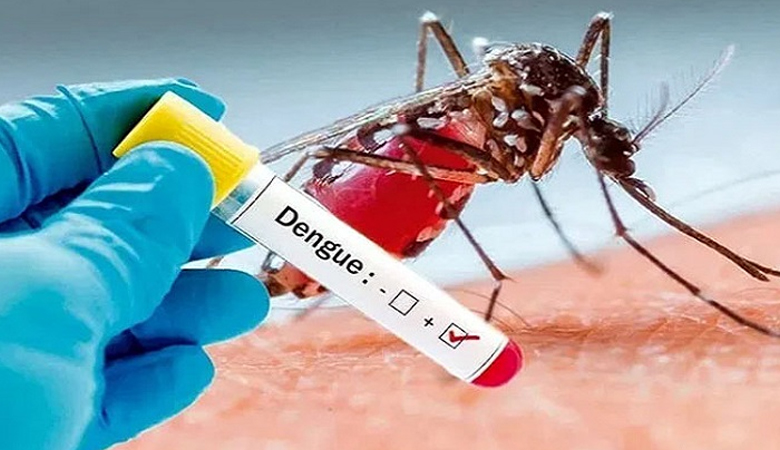 ডেঙ্গুতে আরো ৬ জনের প্রাণহানি