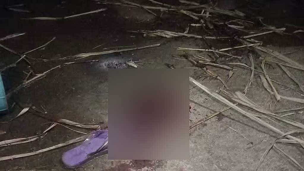 মাদ্রাসার ছাদে বিদ্যুৎস্পৃষ্টে দগ্ধ পাঁচ ছাত্রীর তিনজনের মৃত্যু