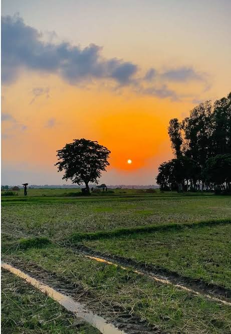 মায়ার নিজস্ব ঋতু