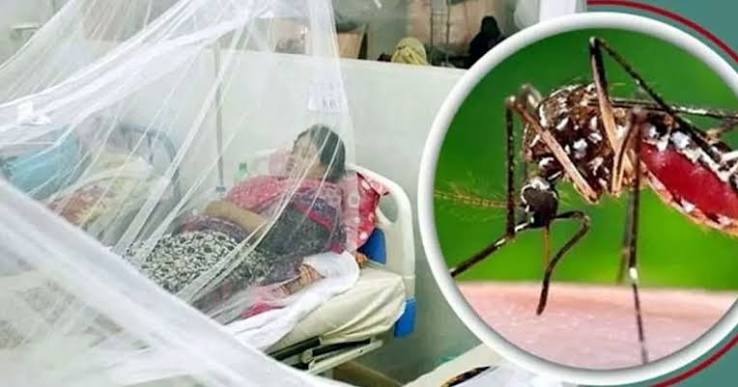 ডেঙ্গুতে এক দিনে ৭ মৃত্যু, হাসপাতালে ভর্তি ১ হাজার ৮৭২