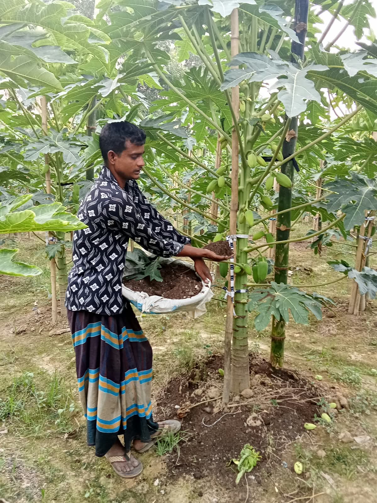 আর্থিক সংকটে ঘাটাইলের সম্ভাবনাময় জৈব সার উৎপাদনকারী প্রতিষ্ঠান