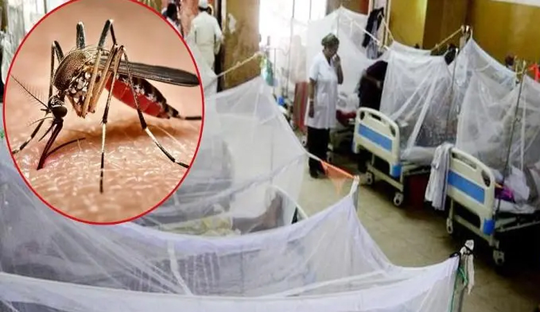 ডেঙ্গুতে একদিনে কেড়ে নিলো ৯ প্রাণ