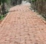 রায়পুরে প্রবাসীর অর্থায়নে রাস্তা নির্মাণ, বরাদ্দ টাকার তদন্ত দাবি