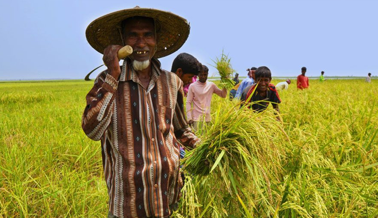 সুদসহ কৃষিঋণ মওকুফে স্বস্তিতে ১৪ লাখ কৃষক