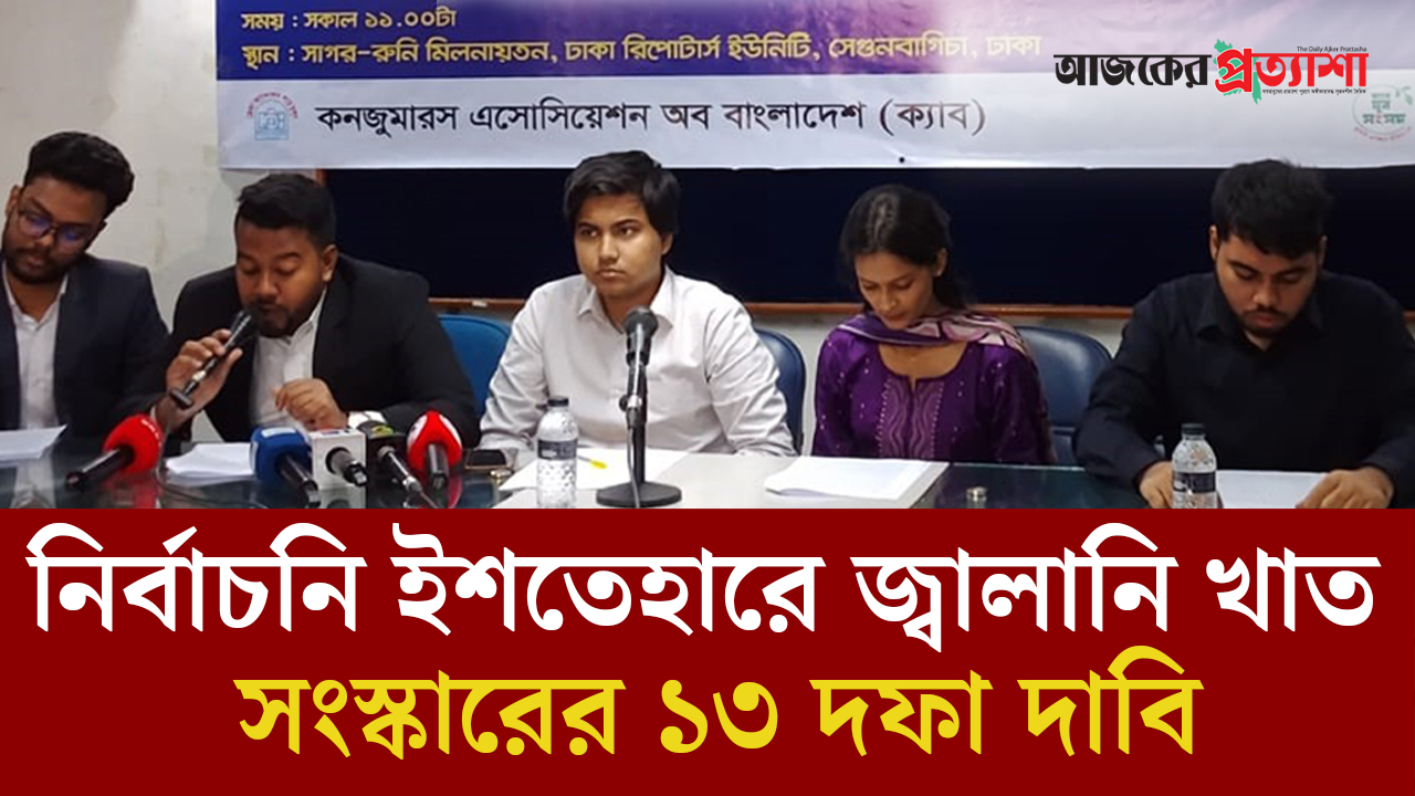 নির্বাচনি ইশতেহারে জ্বালানি খাত সংস্কারের ১৩ দফা দাবি