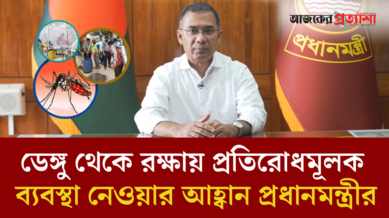 ডেঙ্গু-চিকুনগুনিয়া থেকে রক্ষায় প্রতিরোধমূলক ব্যবস্থা নেওয়ার আহ্বান প্রধানমন্ত্রীর